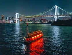 Traditional Yakatabune Hot Pot Cruise with Shamisen Show & Tokyo Tower Entry